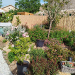 chantier-artdesjardinsmontpellier-2.9